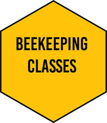 Beekeeping Class Picture